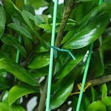Rocky Mountain Goods Twist Ties for Plants with Cutter - Green Garden Twist Ties for Outdoor/Indoor Plants, Climbing Plants - 100 Feet Cut to Custom Length - Soft But Strong Support for Delicate