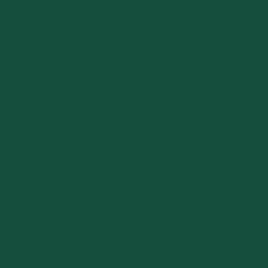 Comfort Classics Set of 2 Sunbrella Outdoor/Indoor Welted Lumbar Pillows Inc. (Forest Green)