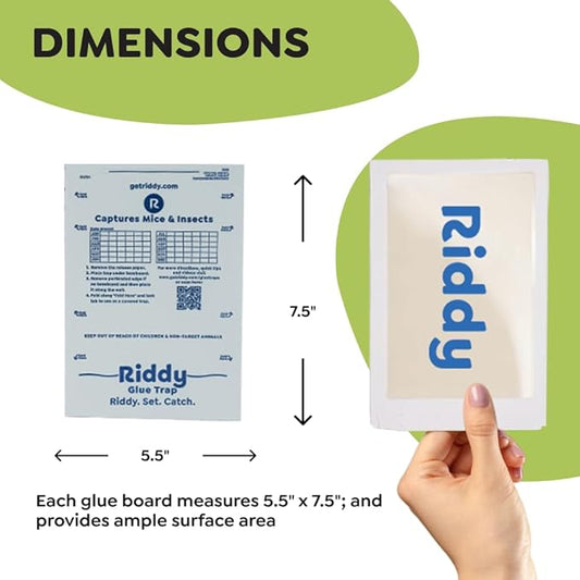 Riddy Glue Boards, 36 Boards, Pre-Baited, Ready to Use Mouse Traps Indoor for Home, Sticky Adhesive for Bugs and Rodents, 5.5" x 7.5"