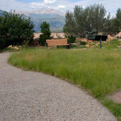 Outsidepride Perennial Short Native Grass Seed Mix - 25 lbs. Premium Mix of Blue Grama, Buffalo, Sideoats Grama, & Sheep’s Fescue Grass Seeds for Low-Maintenance, Heat & Drought-Tolerant Landscaping