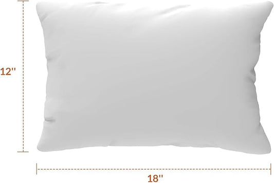 Covers & All Sunbrellla Outdoor Pillows for Patio Furniture, UV Fade Resistant & Waterproof Outdoor Sunbrella Lumbar Pillows, Set of 2 Inserts & Covers for Patios, Decks and Porches (Cast Ash)