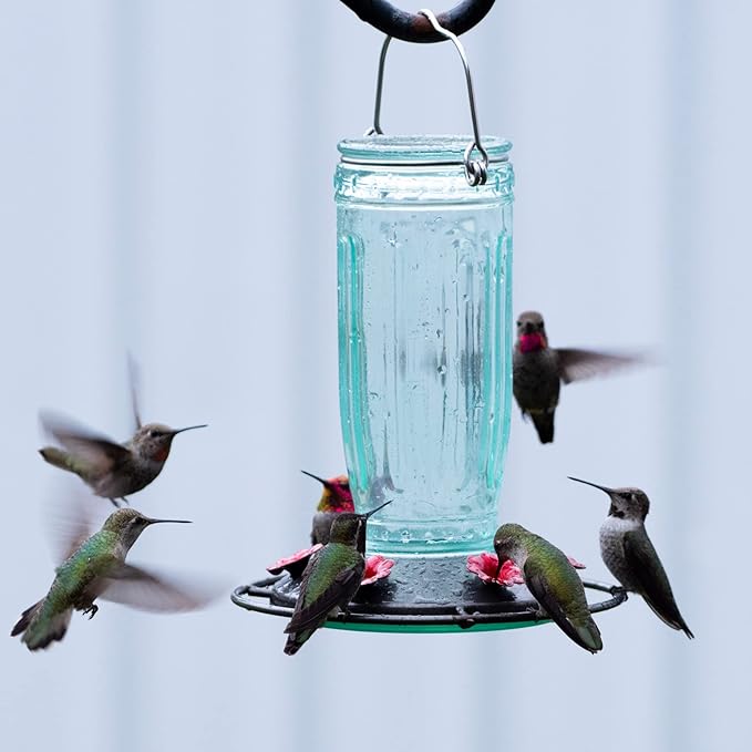 Kingsyard Glass Hummingbird Feeder for Outdoors Wild Bird Feeder with 6 Feeding Ports Hanging for Garden Yard, Green (Ant Moat Included)