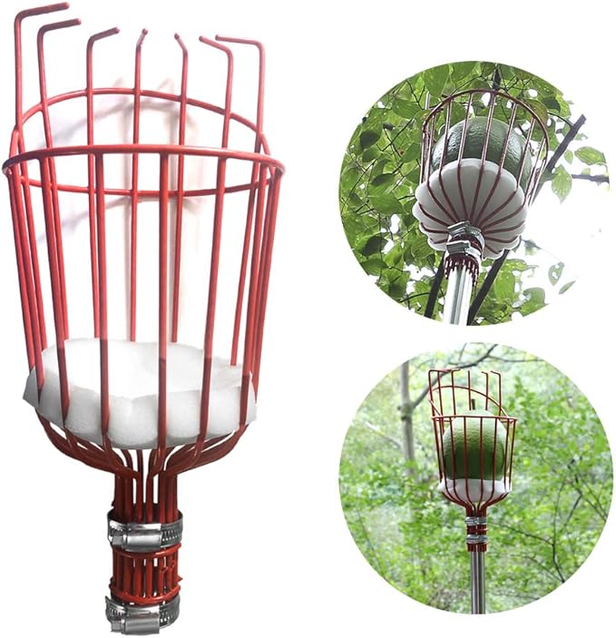 FLY HAWK Fruit Picker Tool, a 8 FT Long Fruit Picker Equipped with Optional Splicing of Lightweight Stainless Steel to Pick Apples, Oranges and Fruit Trees