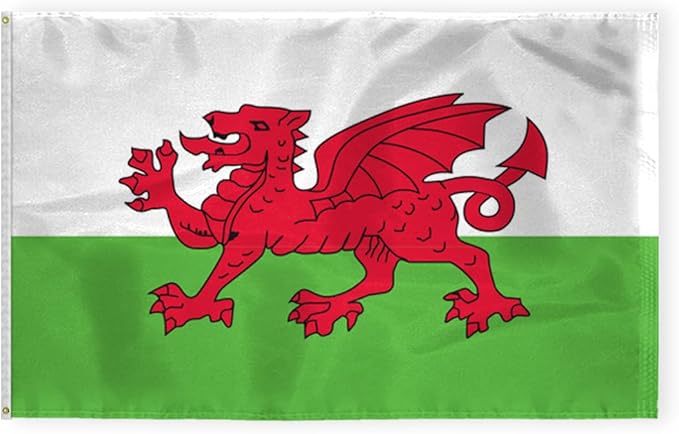 AGAS Wales Flag 5x8 ft 200D Nylon 6 Needle Lock Stitched Fly Hem Never Rust Brass Grommets Big Size Welsh National Flag