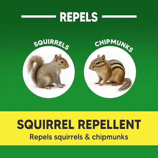 Squirrel Repellent, Chipmunk Repellent Outdoor, Squirrel Deterrent Balls, Safe for Garden, Attic, Bird Feeders, Garage, Lasting 60 Days-8 Packs
