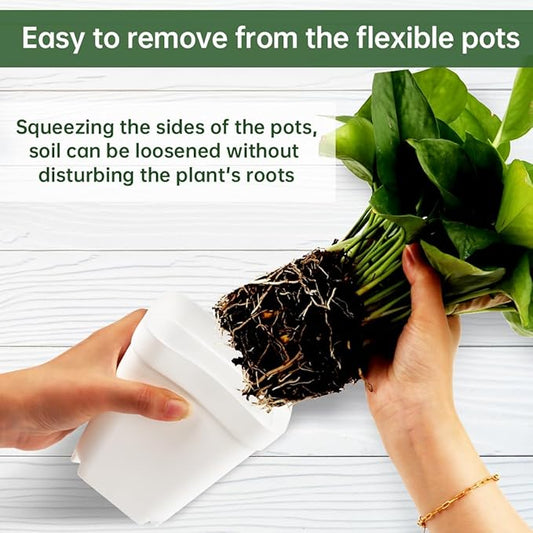 BTPLASTIK 80 Pcs Nursery Pots 4 Inch, Plastic Seed Starting Pot with Drainage Holes, Small Sturdy Seedling pots for Planting, Succulents, Transplanting, Cuttings (White)