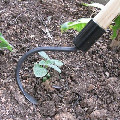 CobraHead® Long Handle Weeder & Cultivator Garden Tool - Forged Steel Blade - Natural 54-Inch Hardwood Handle - Ergonomically Designed for Digging, Edging & Planting - Perfect for Big Gardening Jobs