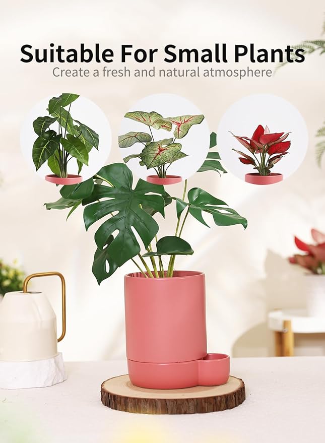 5.5 Inch Ceramic Self Watering Planters with Absorbent Cotton Rope, Cylinder Round Flower Pot for Succulent, Herbs, African Violets, Pink, 1 Pack
