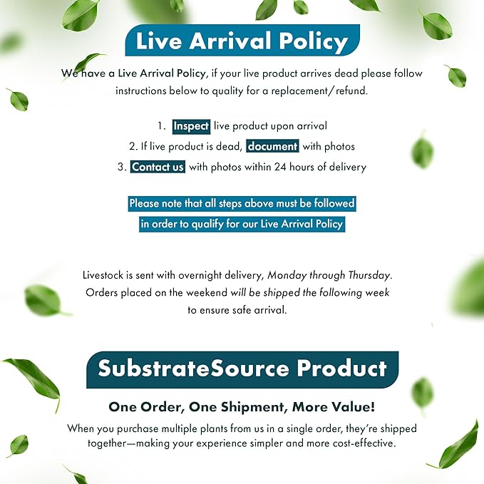 SubstrateSource Anubias Live Aquarium Plants - Potted Freshwater Plant for Fish Tanks, Terrariums - Beginner Friendly Low Light (Nana Golden, 5 Pots)