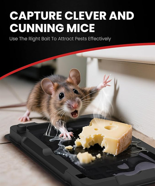 Sticky Mouse Traps Indoor for Home - 12 Pack Glue Traps for Roaches, Spider, Lizard, Rodent Catcher for Kitchen, Garage, Glue Boards for Insects, Pet Safe Pest Control, Non-Toxic, Small Size