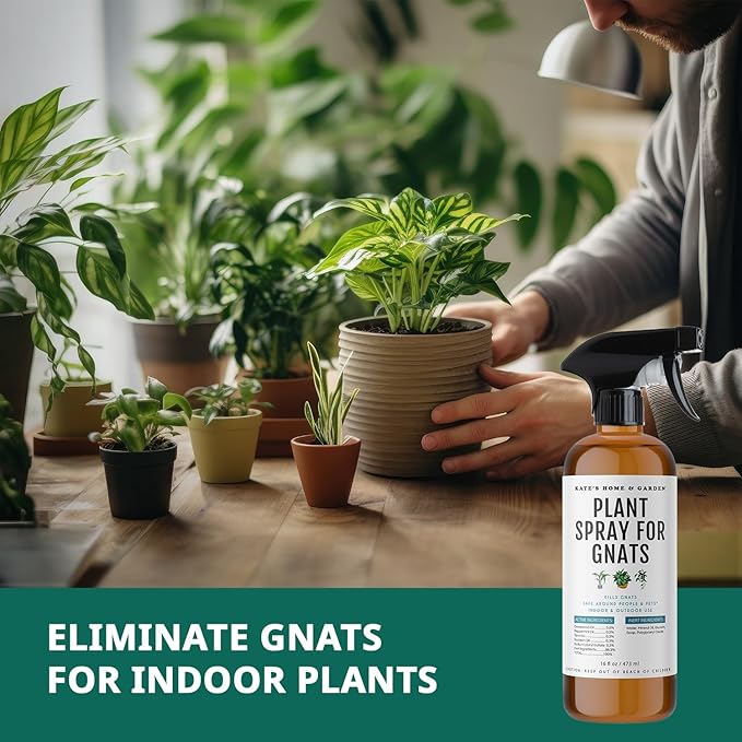 Kate's Home & Garden Plant Spray for Insects & Getting Rid of Gnats with 12 Sticky Traps. Fungus Gnat Killer & Bug Spray for Indoor Plants (16oz, Cedarwood, Pet Safe, Non Toxic)