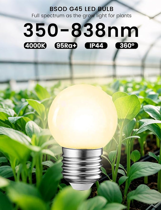 BSOD Full Spectrum Light Bulb, Grow Light Bulbs G45 Small Lightbulbs E26 LED 5W Eq 40W Globe 360-Degree PPFD Sunlight 4000K for Home, Plant, Freezer, Lamp (2 Natural White Bulbs)