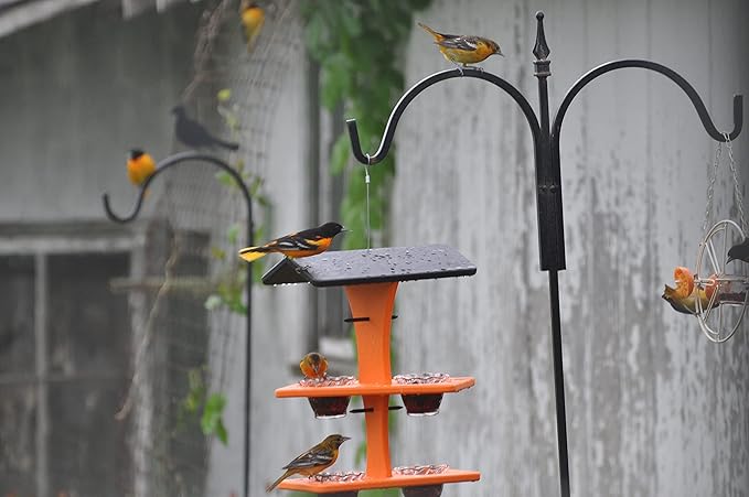 DutchCrafters Plastic Poly Double Platform Hanging Oriole Bird Feeder with Fruit Slice Holders & Nectar Cups, Jelly Bird Feeders for Outside - Amish Made in USA (Double, Black & Bright Orange)