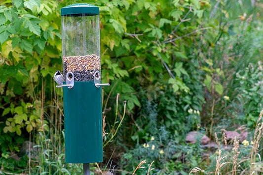 Birds Choice Classic Squirrel Proof Bird Feeder with Pole Mount | Tube Bird Feeder for Cardinals, Chickadees, Woodpeckers | Sturdy Steel for Long-Lasting Use | Backyard Birdseed Dispenser | Green