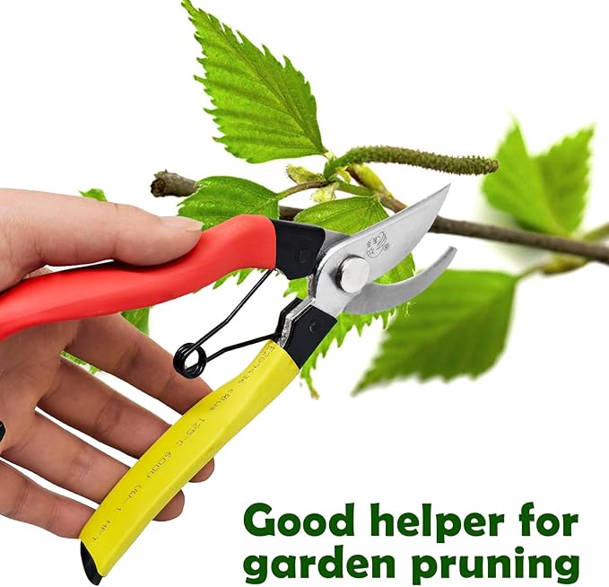 Pruning Shears for Gardening, 8-Inch Bypass Garden Shears with Sharp Steel Blade, Lightweight Garden Scissors with Spring and Lock for Trimming Branches, Flowers, Bonsai