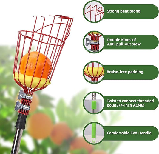8FT Fruit Picker with Large Basket Telescoping Fruit Picker Pole Foam Padding Prevents Bruising Suitable for Apples Mangoes Pears Oranges Avocados, Red (Pole Included)