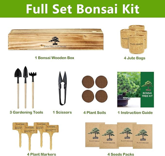 Bonsai Tree Kit, Bonsai Starter Kit with Seeds Tools & Planters, Tree Live Plants Indoor, Gardening Gifts for Women Men Mom Father Plant Lover, Birthday Thanksgiving Christmas Gifts