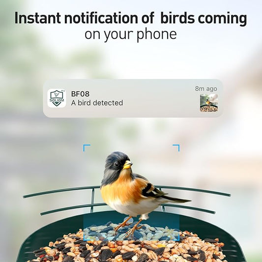 SOLIOM Solar Bird Feeder with Camera for Outdoors - Durable Metal AI Smart Birdhouse, 2K Live View & Instant Alerts, Squirrel Proof - Ideal Bird Watching Gift (Red)