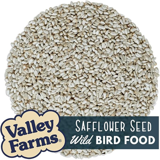 Valley Farms Safflower Seed Wild Bird Food (4 LB) Birdseed for Outside Feeders to Attract Cardinals, Titmice & Grosbeaks