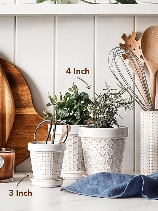 LE TAUCI Ceramic Succulent Pots, 4 Inch Small Plant Pot for Indoor Plant Cactus, Embossed Flower Pots with Drainage Hole & Saucer - Set of 4, Arctic White