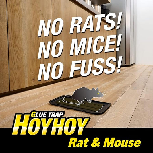HOY HOY Regular Size Rat & Mouse Indoor/Outdoor Glue Trap (1 Pack)