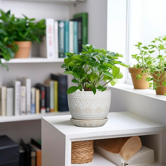G EPGardening Ceramic Planters for Indoor Plants - 5 Inch Plant Pot for Outdoor Plants Succulent Planter with Drainage Hole and Saucer Flower Pot for Room Decor White
