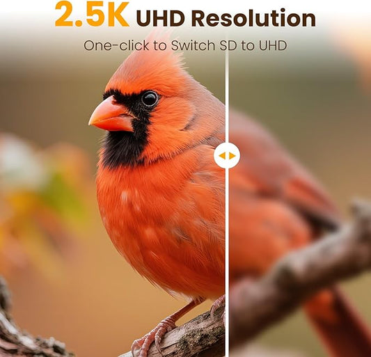 Metal Smart Bird Feeder with Camera, 2.5K UHD Bird Camera AI Identifies 11,000+ Bird's Species, Real-time Bird's Videos & Pictures, Solar Powered Wireless Outdoor, Ideal Gift
