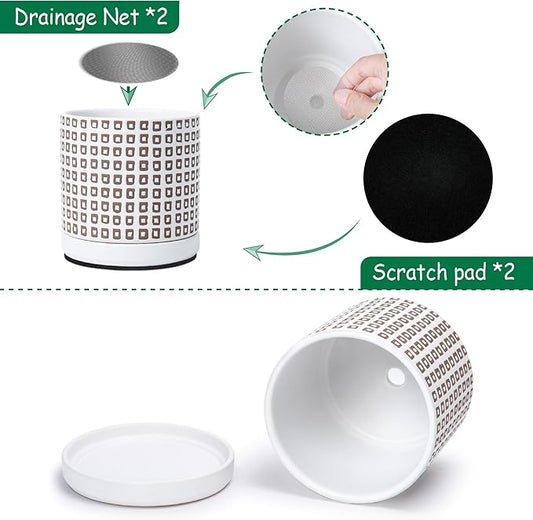 D'vine Dev Set of 2 Ceramic Planter Pots with Drainage Hole and Saucer, 6 Inch Plant Pots for Plants Indoor Houseplants, White, 99-Z-A-1-Y