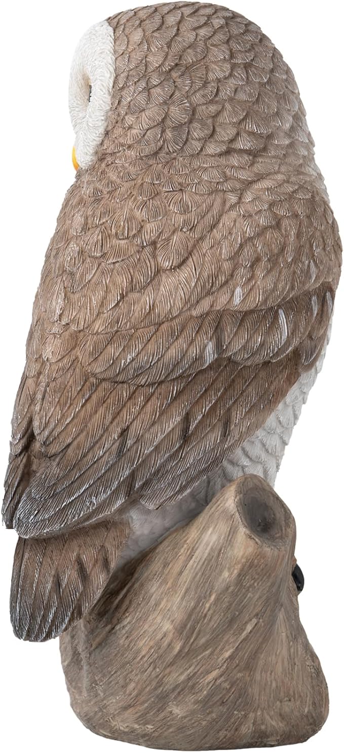 Owl Outdoor Statues Garden Yard - Decoration Home Decor Indoor Desk Tabletop Collectible Figurines Ancient Retro Collection 11" x4.5" x5 Inch