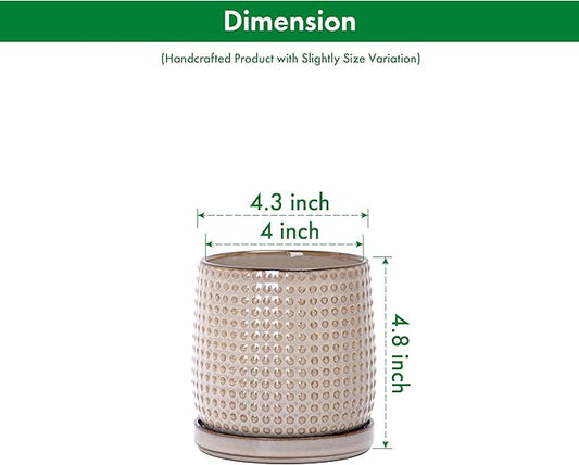 D'vine Dev Set of 2 Ceramic Plants Pots, 4 Inch Beaded Stoneware Flower Pot for Plants with Drainage Hole and Saucer, Light Brown, 27-E-Z-4