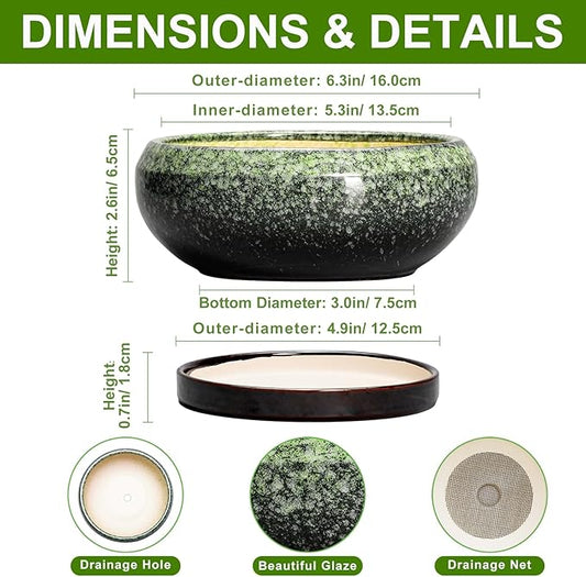 Succulent Pots 6 Inch - Ceramic Bonsai Pots with Drainage Hole and Saucer, Succulent Planters for Indoor Outdoor, Small Shallow Planter, Round Cactus Pot, Room Decor, Plant Lover Gift, Green