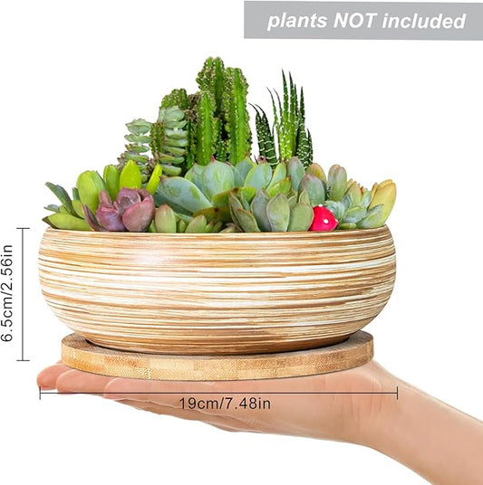 ARTKETTY Succulent Pots - 7.5 Inch Large Plant Pot with Bamboo Tray, Shallow Bonsai Pots with Drainage, Ceramic Planter for Indoor Plants, Cactus, Home Office Desk Decor