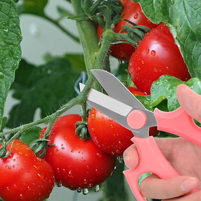 Housolution Flower Scissors, Strong Floral Shears, Premium Steel Garden Pruning Shears Floral Fruits Leaf Scissors Hand Pruner Snip Trimming Tool for Gardening Flower Arrangement, Pink