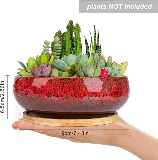 ARTKETTY Succulent Pots - 7.5 Inch Large Plant Pot with Bamboo Tray, Shallow Bonsai Pots with Drainage, Ceramic Planter for Indoor Plants, Cactus, Home Office Desk Decor