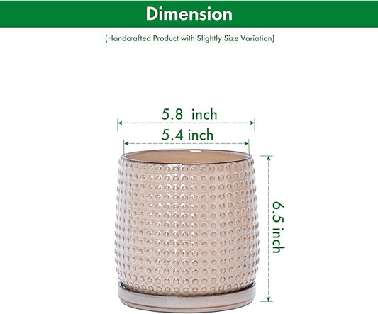 D'vine Dev Set of 2 Ceramic Plants Pots, 6 Inch Beaded Stoneware Flower Pot for Plants with Drainage Hole and Saucer, Light Brown, 27-E-X-4