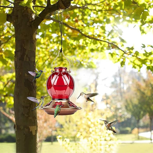 BOLITE Hummingbird Feeder, Glass Hummingbird Feeder for Outdoors, Meshy Texture Ball Shape Bottle, 20 Ounces, Red, Birthday Gifts for Women Men, Gifts for Mom Dad