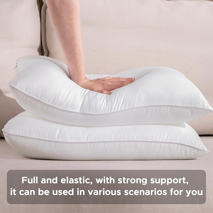 12 x 20 Outdoor Pillow Inserts Set of 2 Waterproof Rectangular Lumbar Support White Decorative Throw Pillow Inserts for Couch Sofa Beds Patio Furniture Cushions