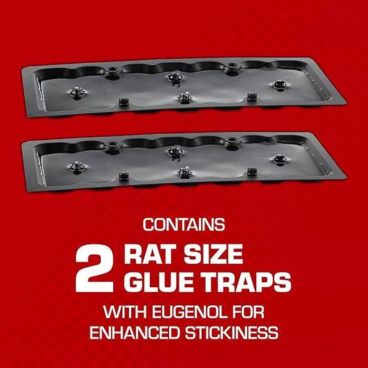 Tomcat Glue Traps Rat Size with Eugenol for Enhanced Stickiness, 2 Traps/Pack (12-Pack)