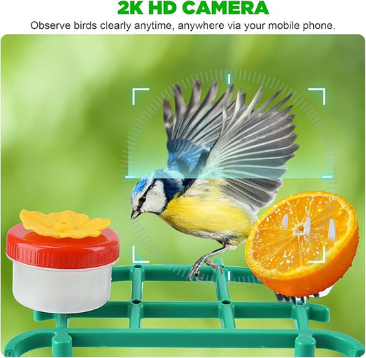 Smart Bird Feeder with Camera, 2K 3MP HD WiFi, AI Bird Species Recognition, Dual-Band 2.4G/5G WiFi, 2L Large Seed Container, IP65 Weatherproof, Solar Powered, Two-Way Audio