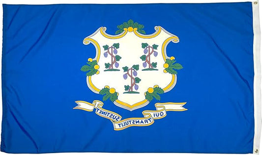 FlagSource Connecticut Nylon State Flag, Made in the USA, 5x8'