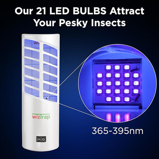 2-Pack Large Indoor Plug in Fly Trap, 21 UV LED Bulbs, 10 Sticky Glue Board Refills, A Home Gnat Trap, Moth, Flies, Mosquito Trap! (2 Devices 10 Glue Boards)