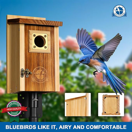 Pack of 2 Bluebird Houses for Outside, Premium Wooden Bird Houses for Outdoor, Weatherproof Blue Bird House, Bluebird Swallow Chickadee Wren, Assembly Required