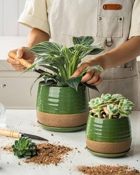 3 Piece Ceramic Small Planter for Indoor Plants - Succulent Plant Pots with Drainage Holes and Saucers - 3.4/4.7/6.1 inch Modern Decorative Small Flower Pots for Bamboo, Succulents and Herbs, Green
