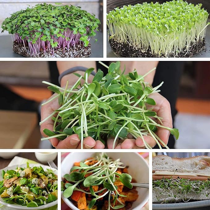 Micro-Mats Hydroponic Grow Pads - for Organic Production - 10 Pack - Plant & Seed Germination: Wheatgrass, Microgreens, More - for 20" x 10" Greenhouse Trays