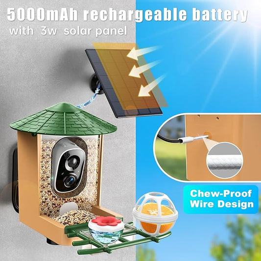 Smart Bird Feeder with Camera with AI Identify Birds Species & Solar Panel, WiFi Birdfeeder with Cam, 2K Live View, Chew-Proof & Waterproof Design, Real-Time App Alerts, Gift for Bird Lovers, Green