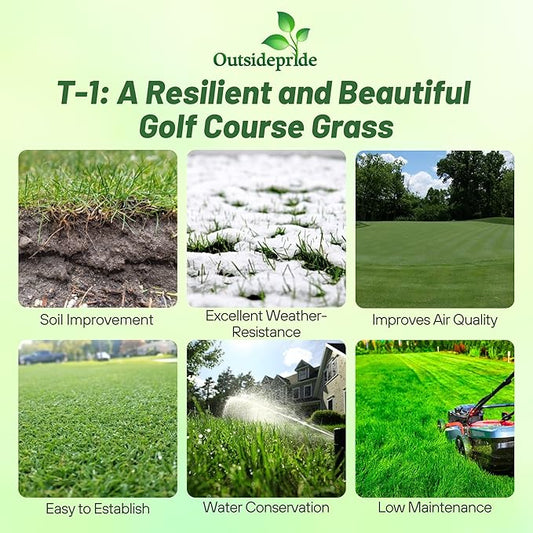 Outsidepride T-1 Creeping Bentgrass Seed - 2 lbs Fine-Bladed, Premium Quality Turf, Grass Seed for Smooth Surface, & High-Traffic Areas, Ideal Grass for Golf Courses Putting Greens, & Fairways