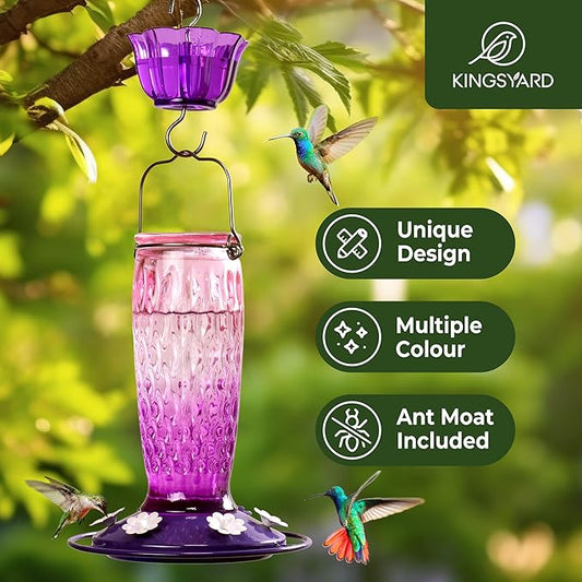 Kingsyard 2 Pack Glass Hummingbird Feeders for Outdoors Hanging, Wild Bird Nectar Feeder with 6 Feeding Ports, 24 oz Leak-Proof, Pink & Purple (Ant Moat Included)