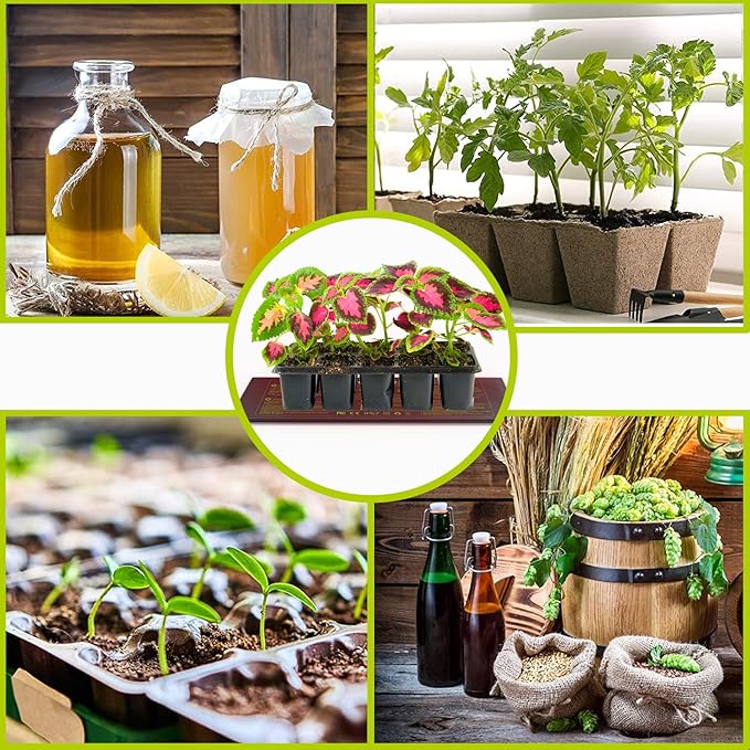 Seedling Heat Mat 10X20.75`` with Thermostat Durable Waterproof Warm Hydroponic Plant Heating Pad with Temperature Control Auto Off Timer for Seed Starting Germination Plant Propagation (1 Heat Pad)