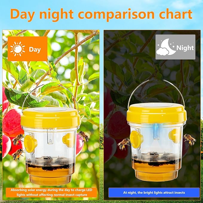 3 Pack Wasp Traps Outdoor Hanging