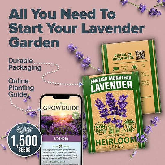 HOME GROWN π¨π¦π π£π₯ππ ππ¨π English Lavender Seeds 1,500+ π‘π’π‘-ππ π’ Wildflower Seed for Planting Indoor/Outdoor, High Germination, Plant Flower Seeds (Lavandula antustifolia)